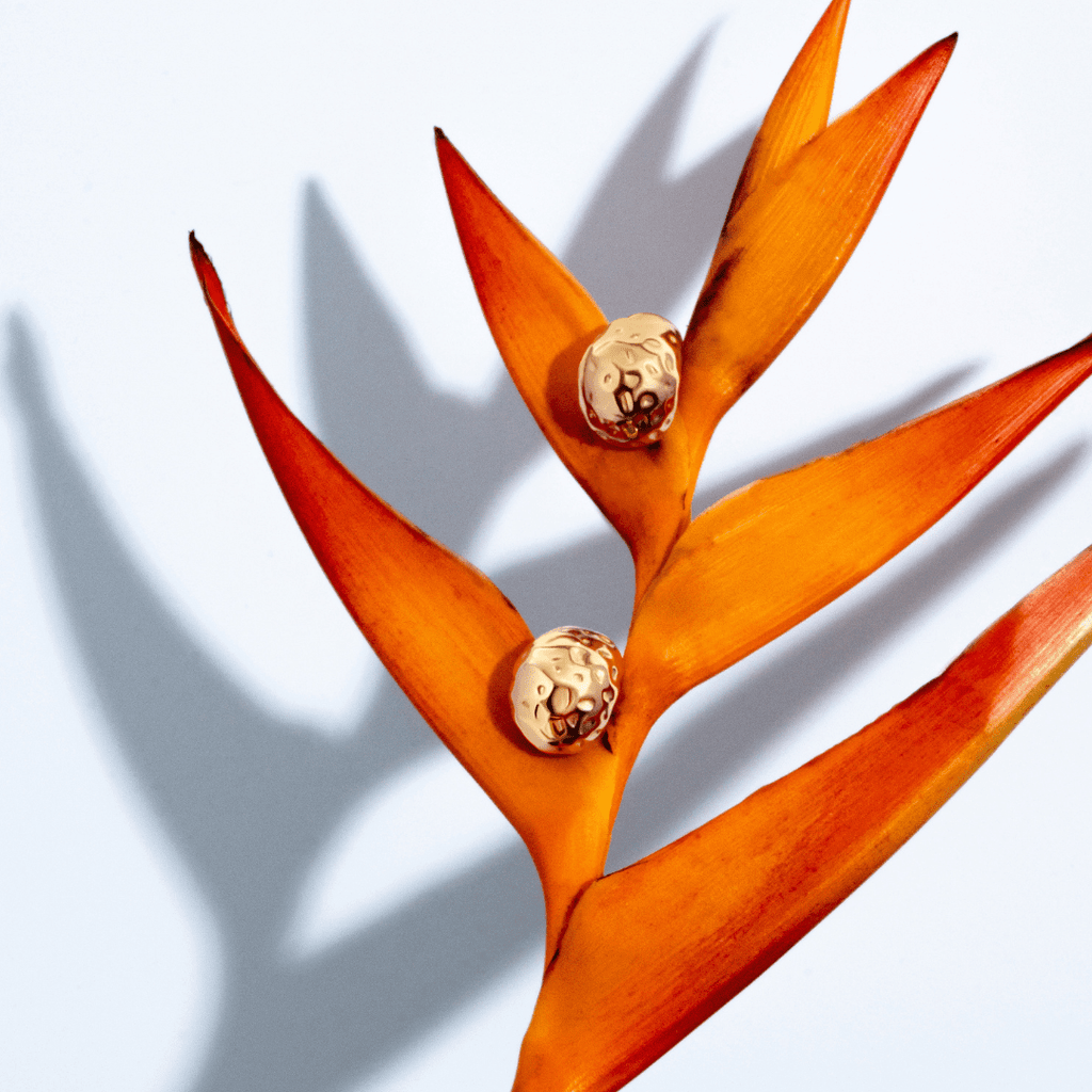 Collins Gold Earrings - Alegant - Denise Pacini