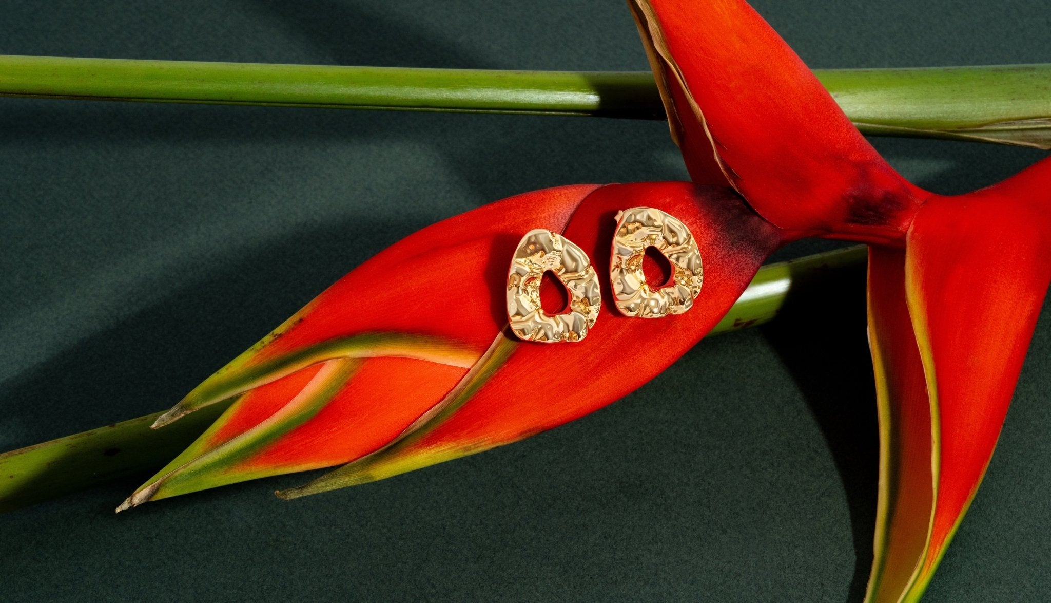 Nathalia Sculpted Hammered Earrings - Alegant - Denise Pacini