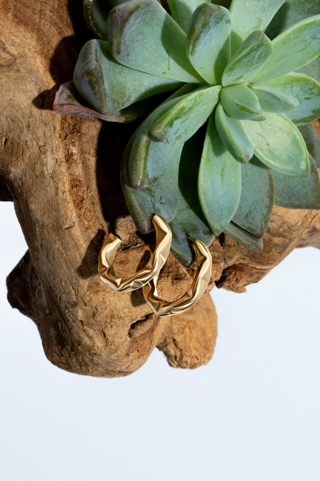 Sabrina Gold Hoops - Alegant - Denise Pacini